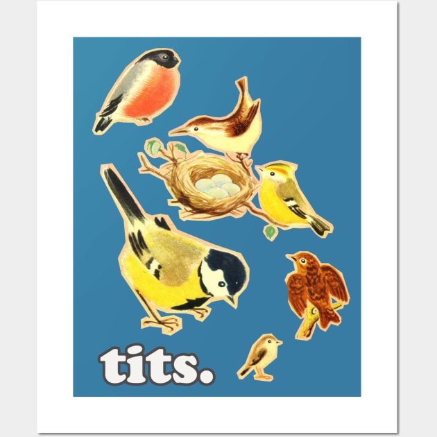 Tits / Humorous Birds Meme Design Wall Art by DankFutura